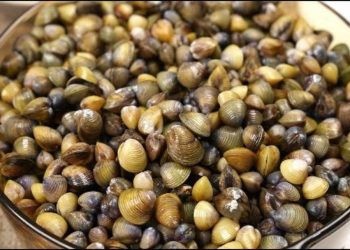 Cách luộc hến và tách vỏ hến nhanh