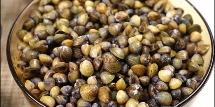 Cách luộc hến và tách vỏ hến nhanh