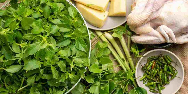 Cần phải kiểm tra chất lượng của lá é trong món lẩu gà nhé