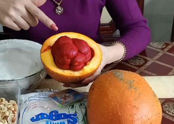 Lựa chọn loai gấc phù hợp bạn nhé.