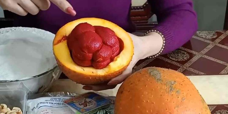 Lựa chọn loai gấc phù hợp bạn nhé.