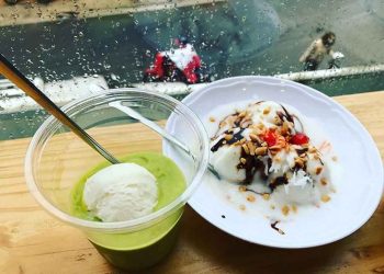 Kem bơ Đà Lạt là món ăn ngon và dễ làm.